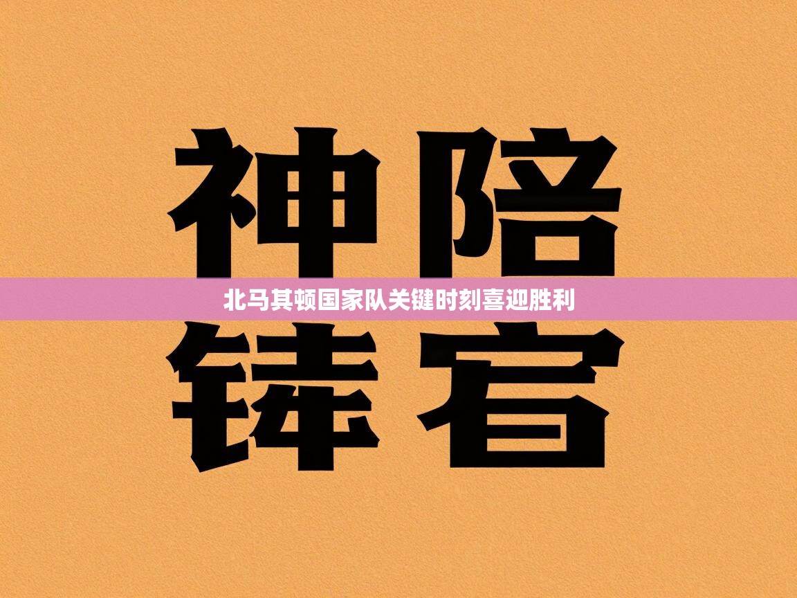 北马其顿国家队关键时刻喜迎胜利  第1张