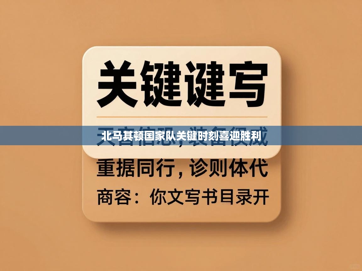 北马其顿国家队关键时刻喜迎胜利  第2张