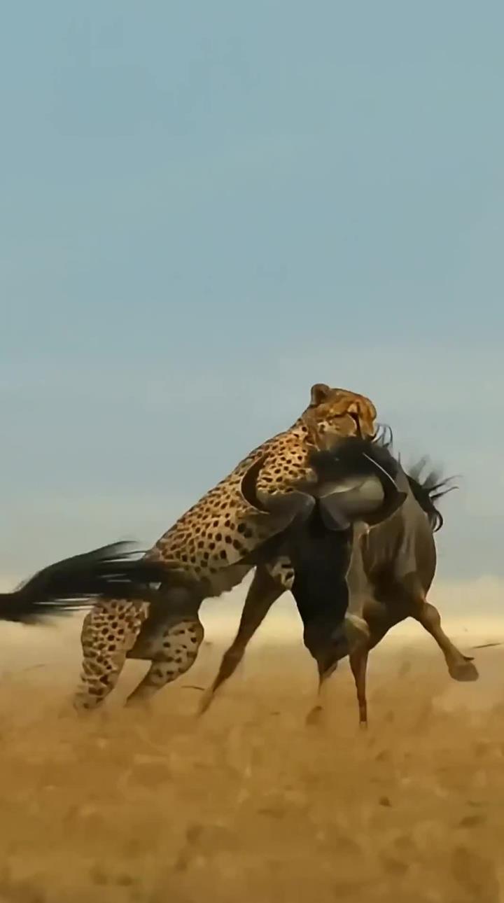 关于强劲对手势均力敌,一场硬仗在所难免的信息 关于强劲对手势均力敌,一场硬仗在所难免的信息